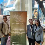 SSbD4CheM @ 3rd ECOSYSTEX Conference