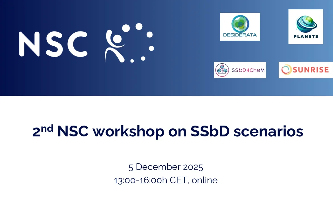 2ndNSCworkshopSSbDscenarios_Cover
