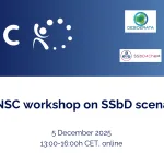 Recap of the 2nd NSC workshop on “SSbD scenarios” on 5 December 2025