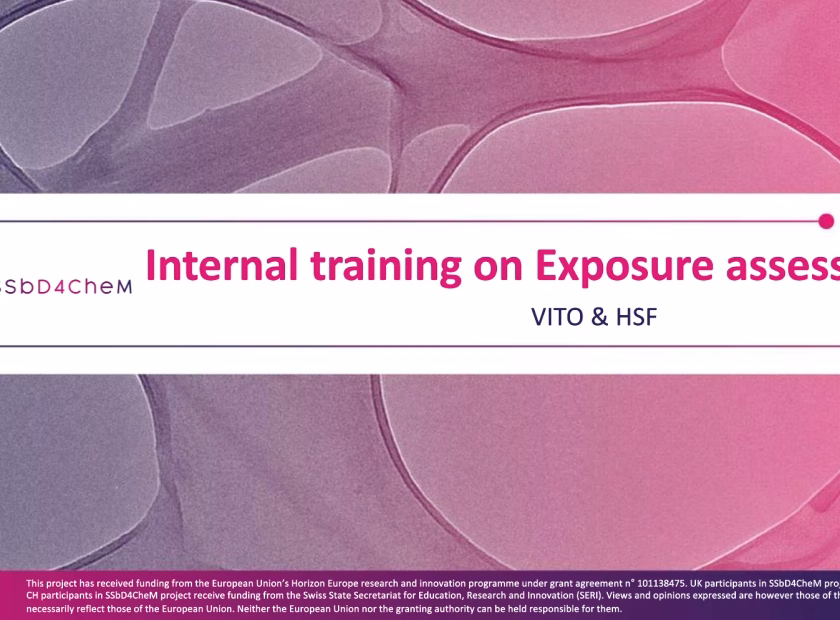 SSbD4CheM_InternalTrainingExpAssessment